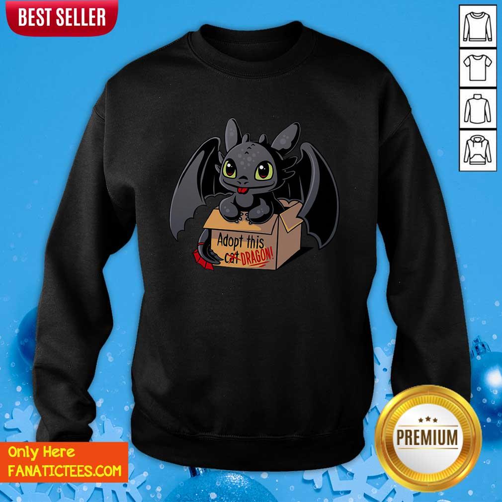 Awesome Adopt This Dragon Shirt