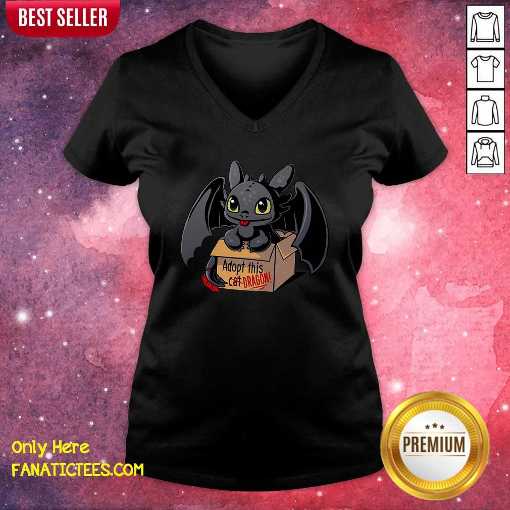 Awesome Adopt This Dragon Shirt