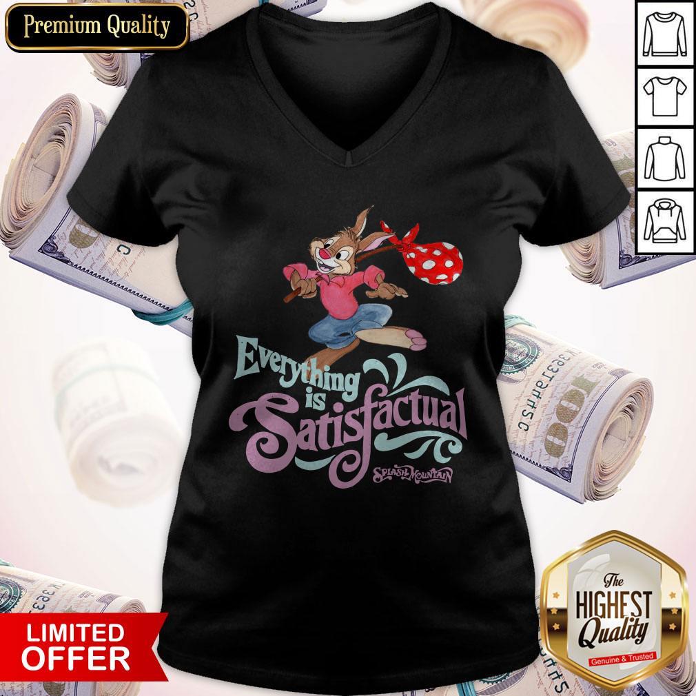 Awesome Splash Mountain Everything Is Satisfactual Shirt