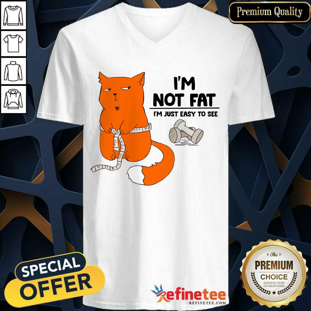 Cat I'm Not Fat I'm Just Easy To See Shirt