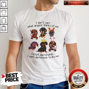 I Don’t Care What Anyone Thinks Of Me Except Dachshunds I Want Dachshunds To Like Me Shirt