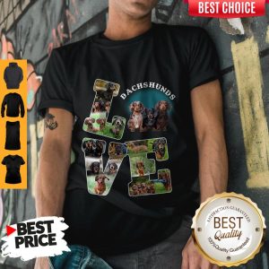 Premium Love Dachshunds Shirt