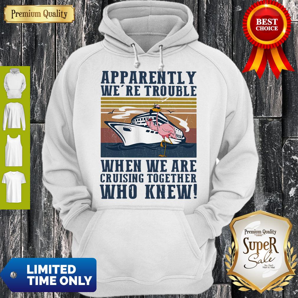 funny-flamingo-apparently-were-trouble-when-we-are-cruising-together-who-knew-vintage-hoodie.jpg