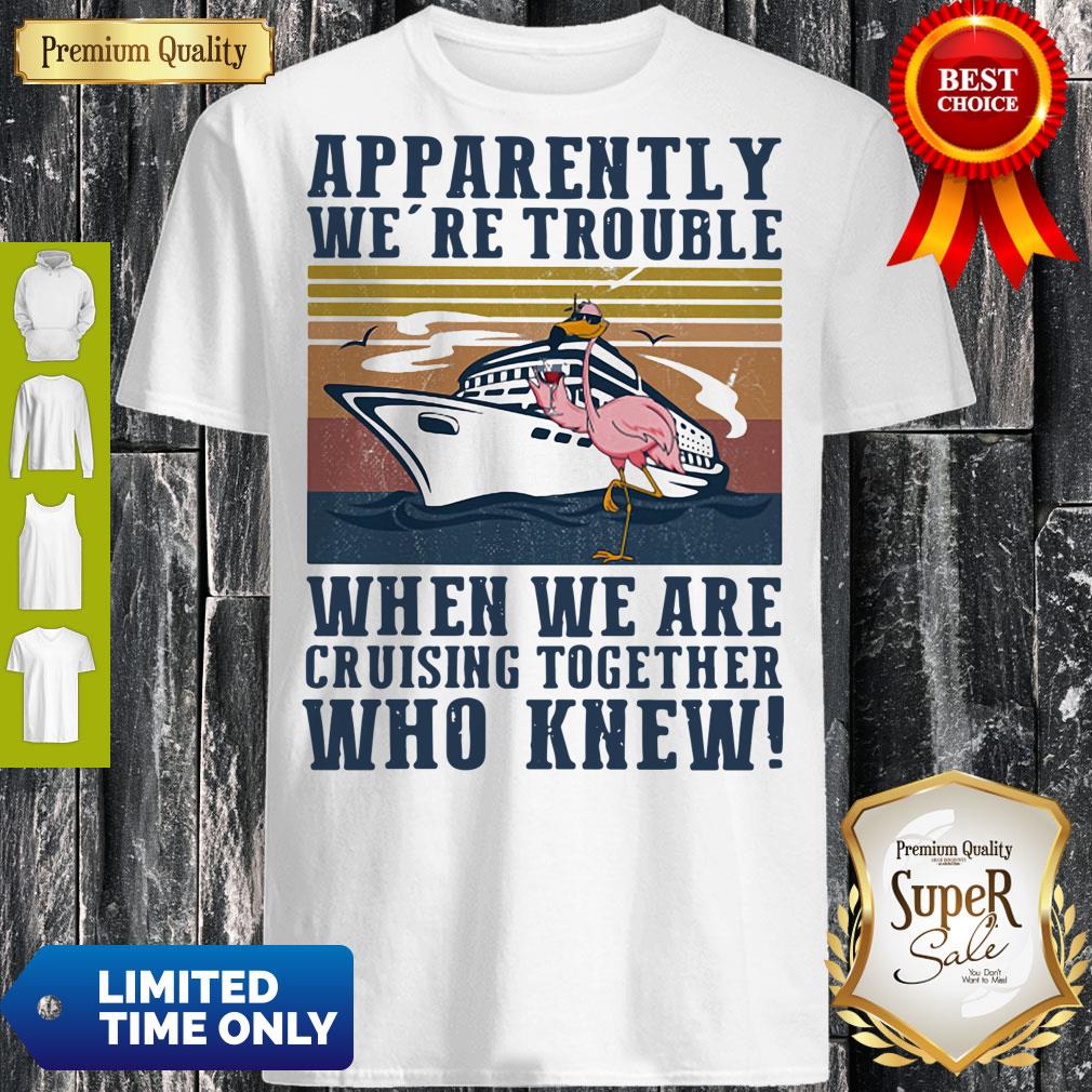 funny-flamingo-apparently-were-trouble-when-we-are-cruising-together-who-knew-vintage-shirt.jpg
