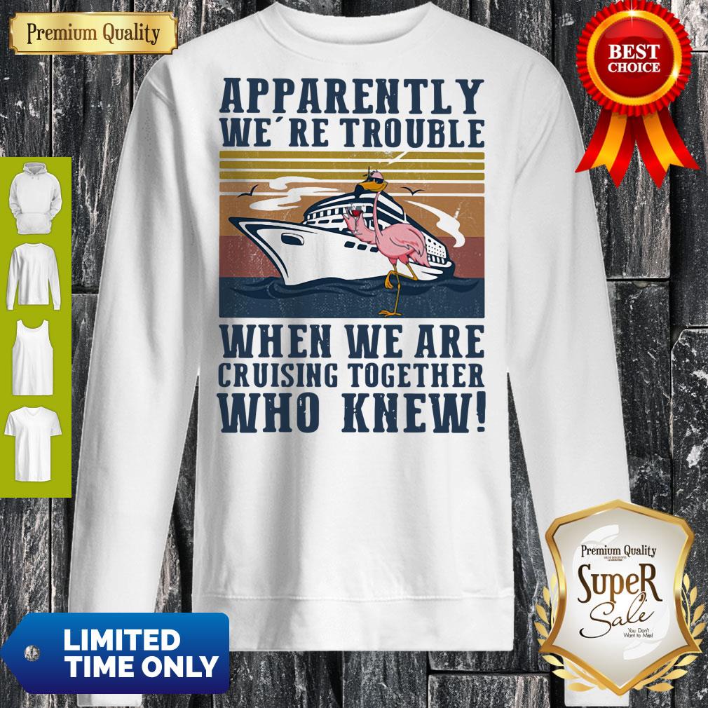 funny-flamingo-apparently-were-trouble-when-we-are-cruising-together-who-knew-vintage-sweatshirt.jpg