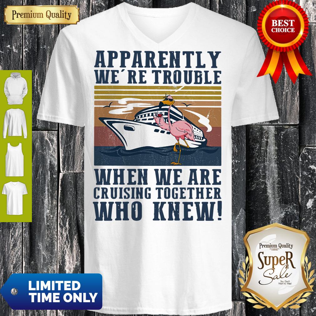 funny-flamingo-apparently-were-trouble-when-we-are-cruising-together-who-knew-vintage-v-neck.jpg