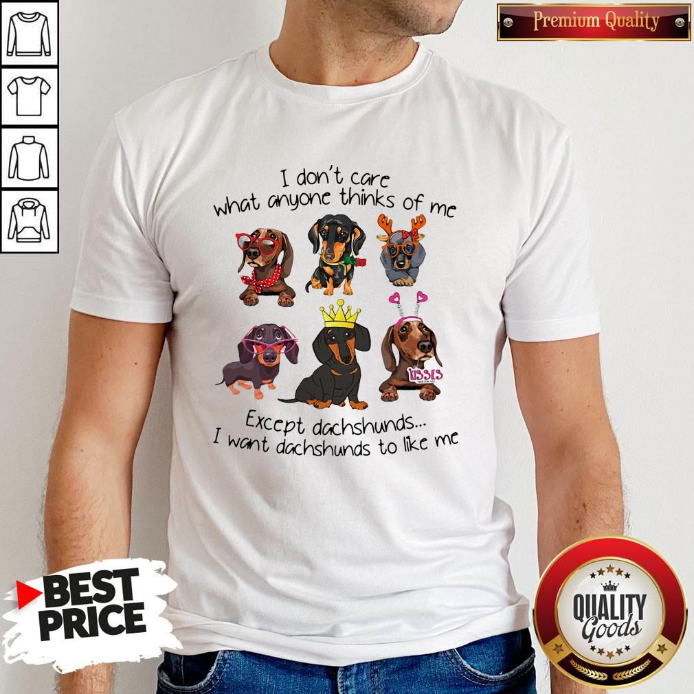 i-dont-care-what-anyone-thinks-of-me-except-dachshunds-i-want-dachshunds-to-like-me-shirt.jpg