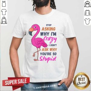 Flamingo Stop Asking Why I'm Crazy I Don't Ask Why You'Re So Stupid Shirt