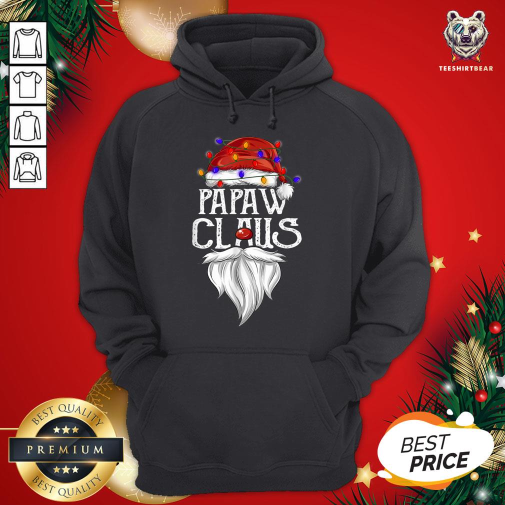 Official Santa Claus Papa Claus Ligh Christmas Shirt