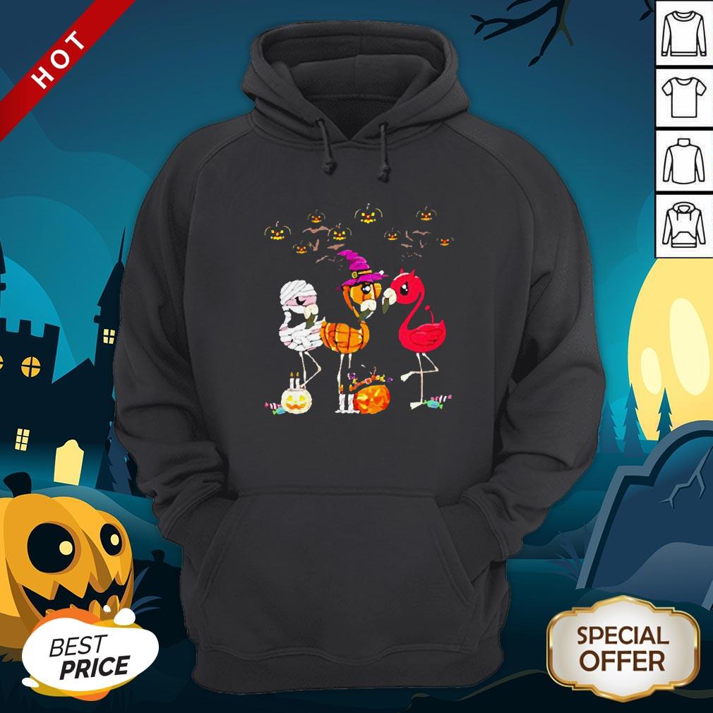 Perfect Flamingo Witch Halloween Shirt
