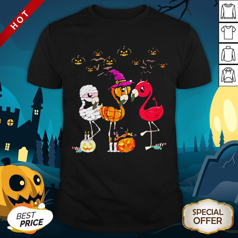 Perfect Flamingo Witch Halloween Shirt