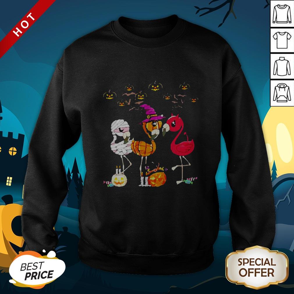 Perfect Flamingo Witch Halloween Shirt