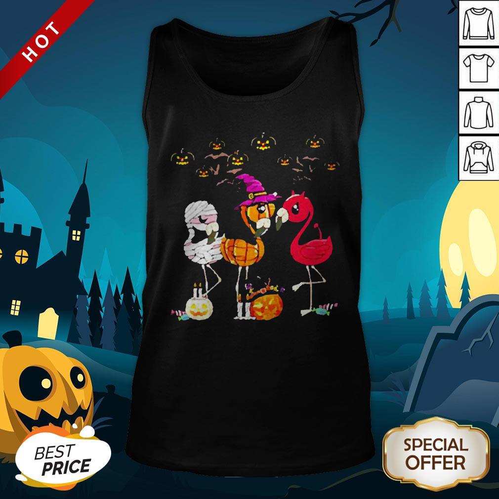 Perfect Flamingo Witch Halloween Shirt