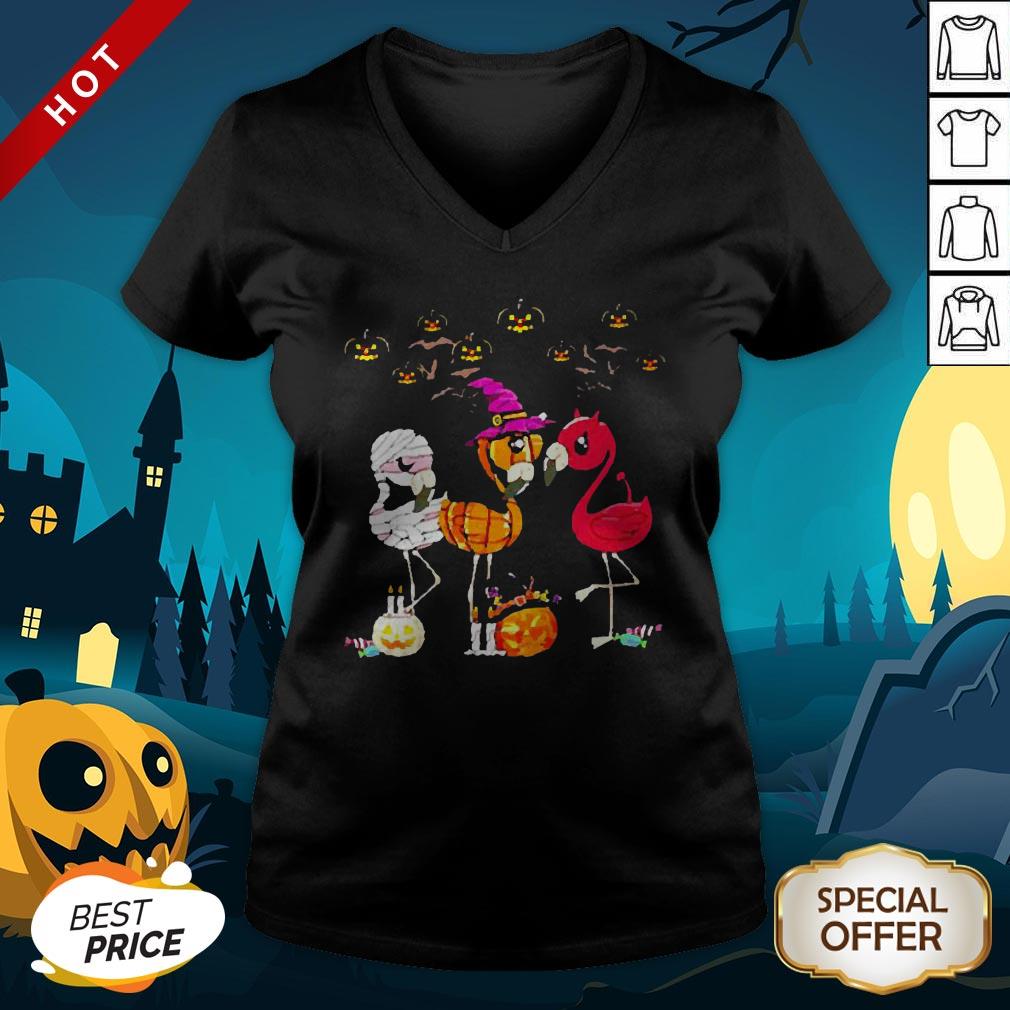 Perfect Flamingo Witch Halloween Shirt
