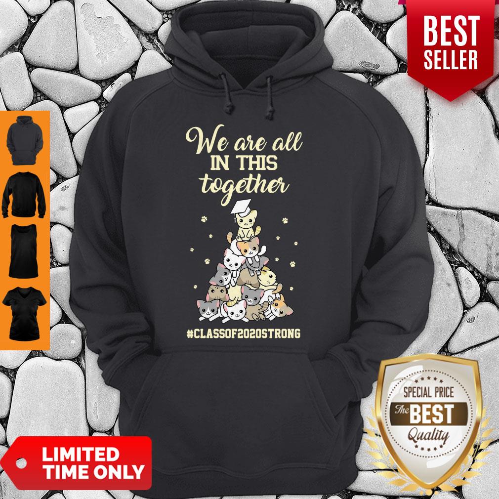 Pretty We Are All In This Together #class Of 2020 Strong Cat Shirt