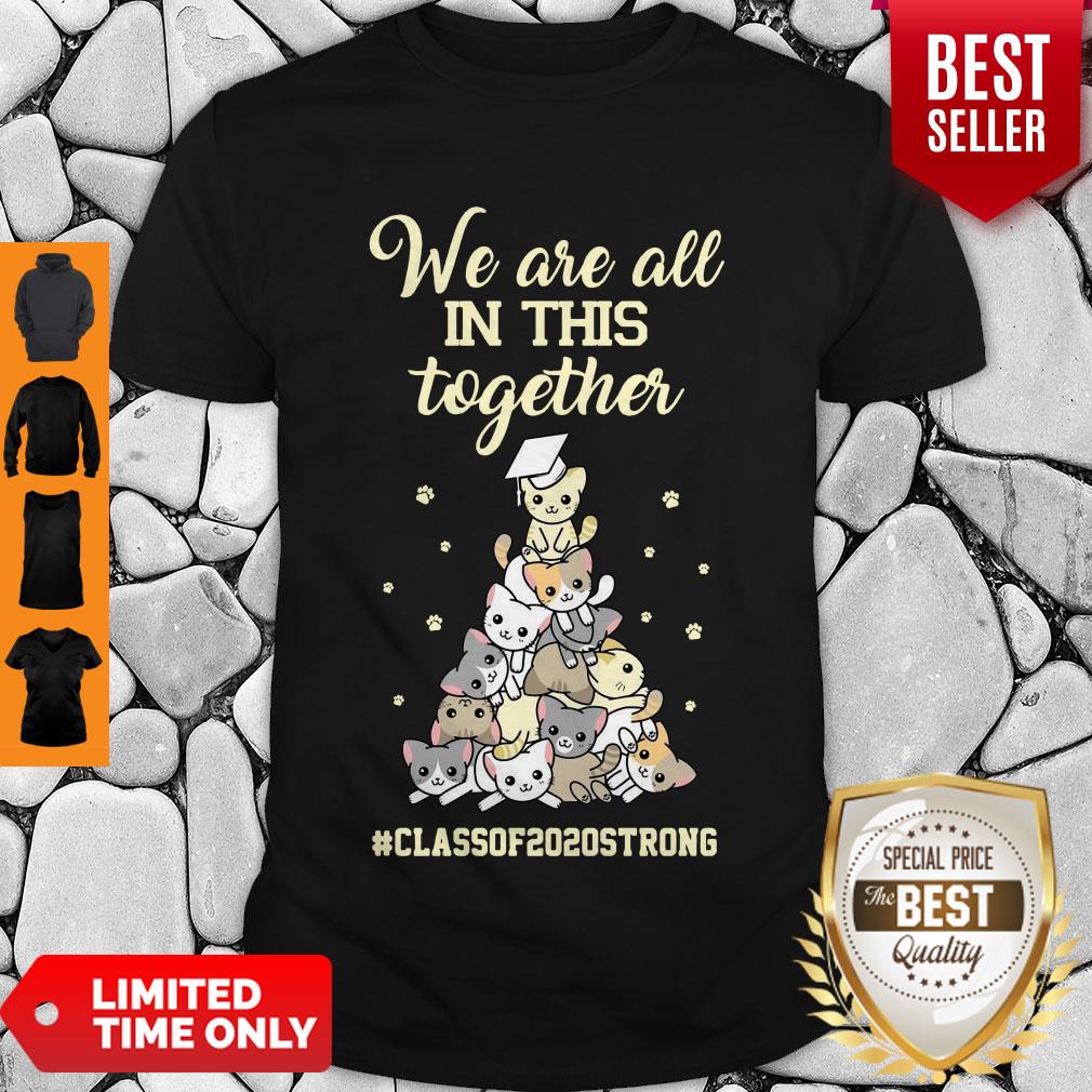 Pretty We Are All In This Together #class Of 2020 Strong Cat Shirt