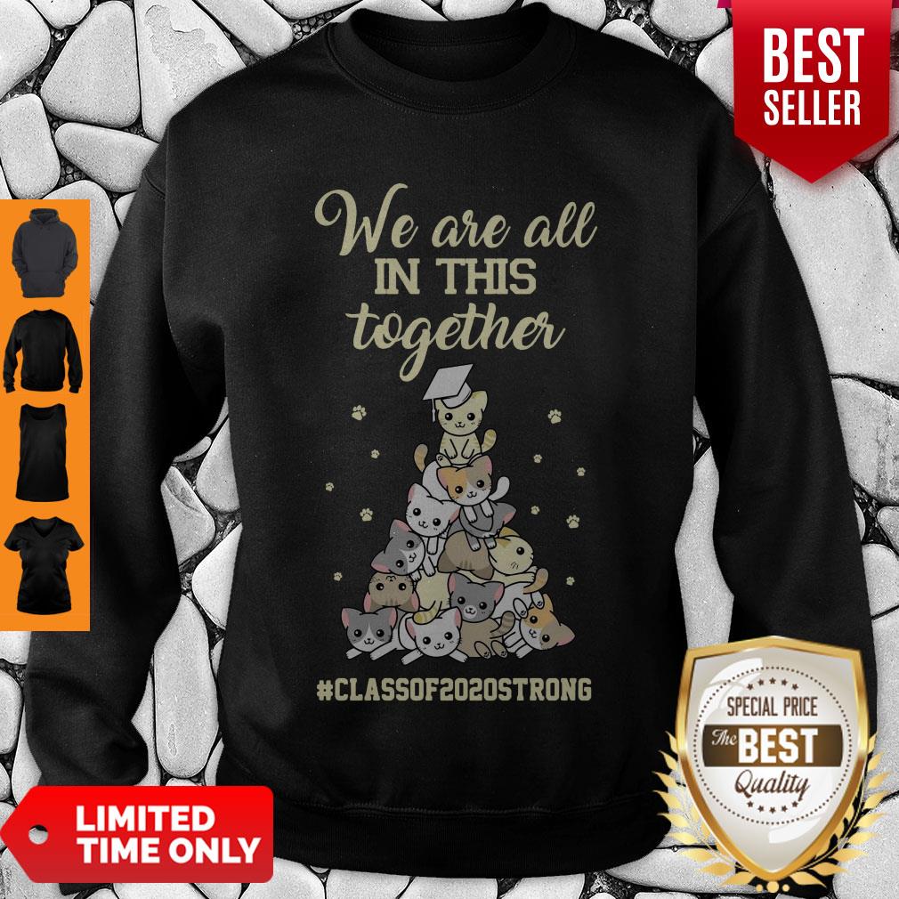 Pretty We Are All In This Together #class Of 2020 Strong Cat Shirt