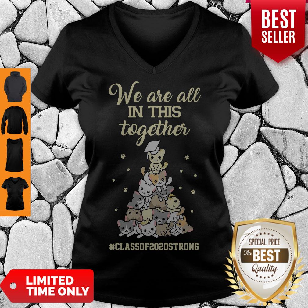 Pretty We Are All In This Together #class Of 2020 Strong Cat Shirt