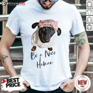 Top Dachshund Be A Nice Human Dog Shirt