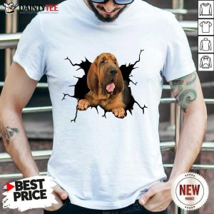 I Love Bloodhound Shirt