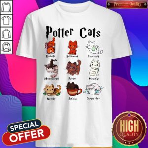 Funny Potter Cats Rawrnald Hermeownle Pawdamort Shirt