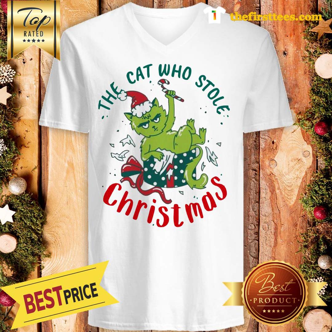 ELF The Cat Who Stole Christmas Shirt