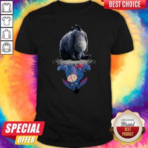 Cute Disney Eeyore Reflection Water Mirror Shirt
