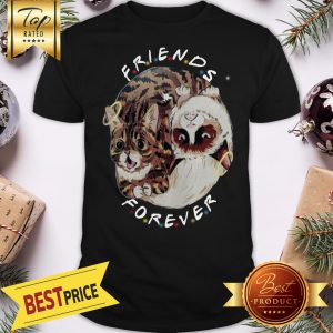Official Lil Bub And Grumpy Cat Friends Forever Shirt