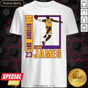Good Los Angeles Lakers Lebron James 23 Shirt