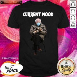 Nice Bernie Sanders Current Mood Shirt