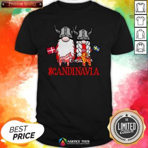 Scandinavian Skandinavisches Nordischer Gnome Viking Shirt