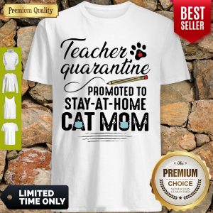 Awesome Teacher Quarantine Promoted To Stay At Home Cat Mom Shirt