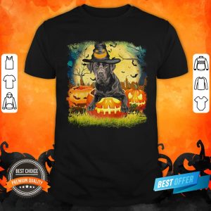 Awesome Labrador Witch Halloween Shirt
