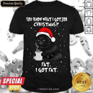 Good Black Cat You Know What I Got For Christmas Fat I Got Fat Shirt