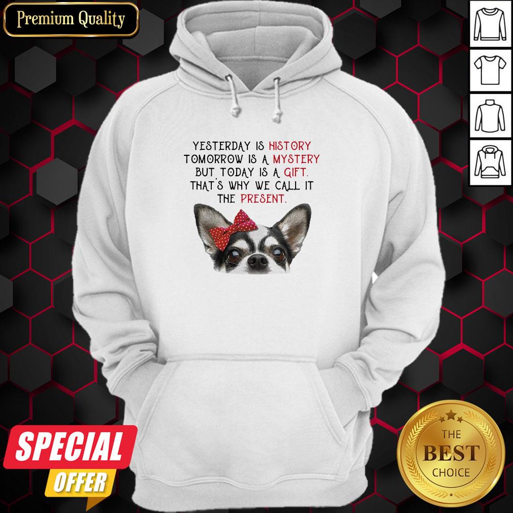 chihuahua-yesterday-is-history-tomorrow-is-a-mystery-but-today-is-a-gift-thats-why-we-call-it-the-present-hoodie.jpg