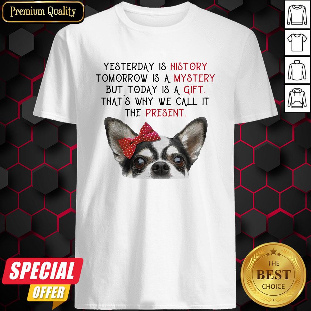 chihuahua-yesterday-is-history-tomorrow-is-a-mystery-but-today-is-a-gift-thats-why-we-call-it-the-present-shirt.jpg