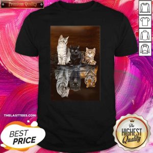 Nice Three Cat Tiger Reflections 5d Diamond Diy Shirt