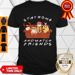 Hugsy And Friends Stay Home And Watch Friends Shirt