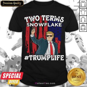 Good Two Terms Snowflake Vote President Trump US Flag Sunglasses Shirt