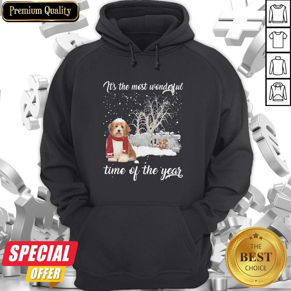 Havanese It’s The Most Wonderful Time Of The Year Shirt