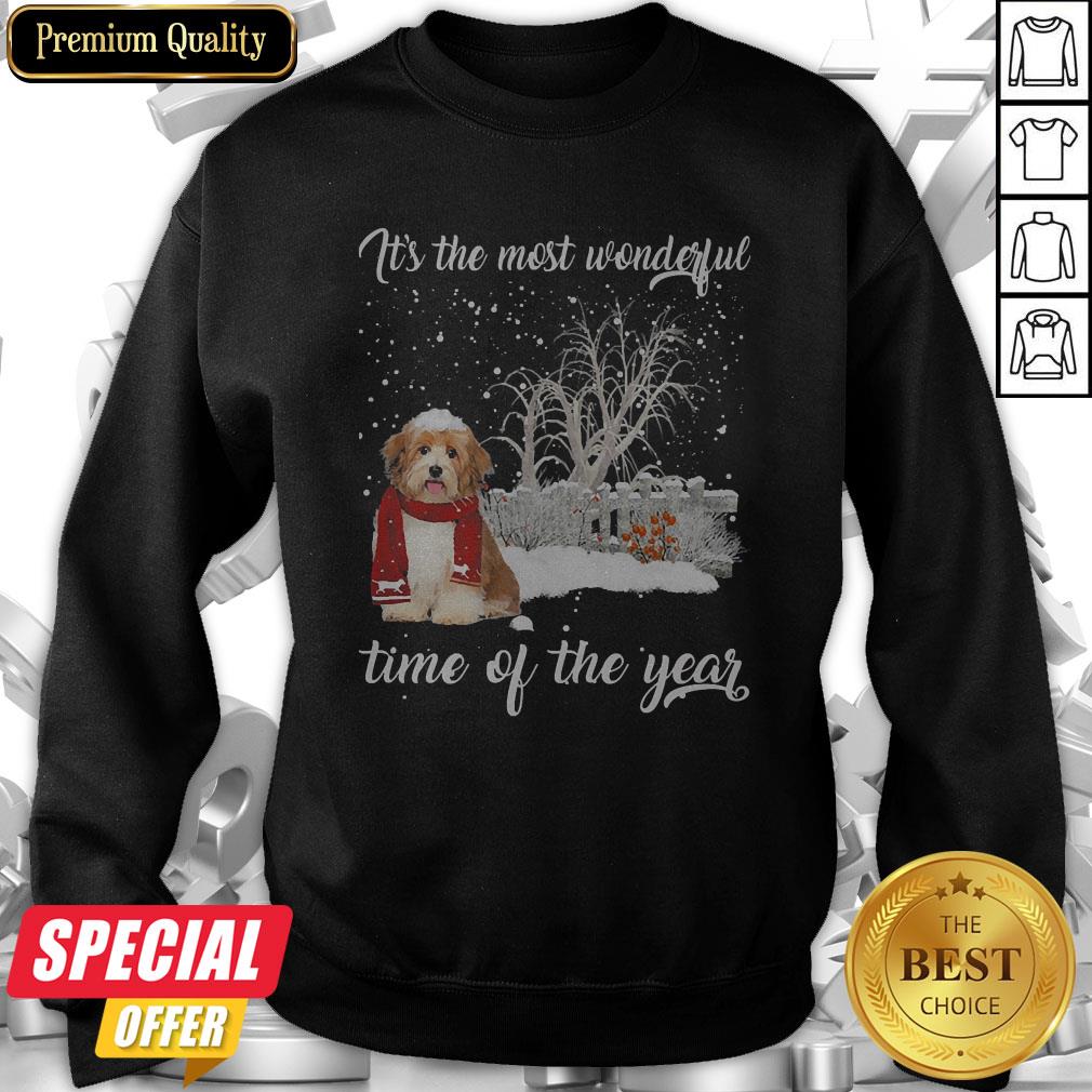 Havanese It’s The Most Wonderful Time Of The Year Shirt