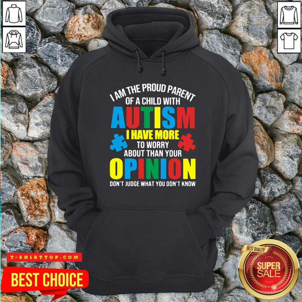 i-am-the-proud-parent-of-a-child-with-autism-i-have-more-to-worry-about-than-your-ophoodie.jpg
