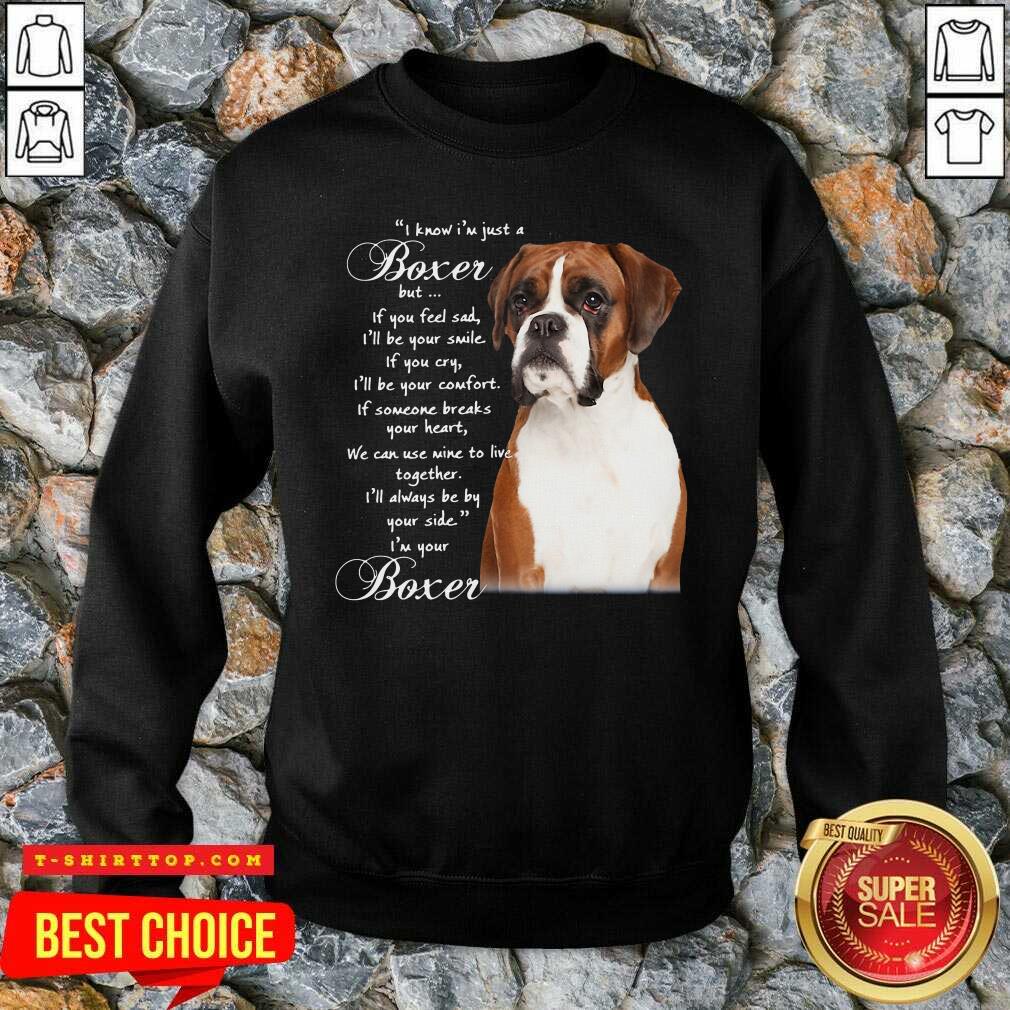 I Know I’m Just A Bull Boxer But If You Feel Sad Shirt