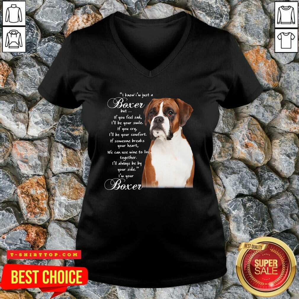 I Know I’m Just A Bull Boxer But If You Feel Sad Shirt