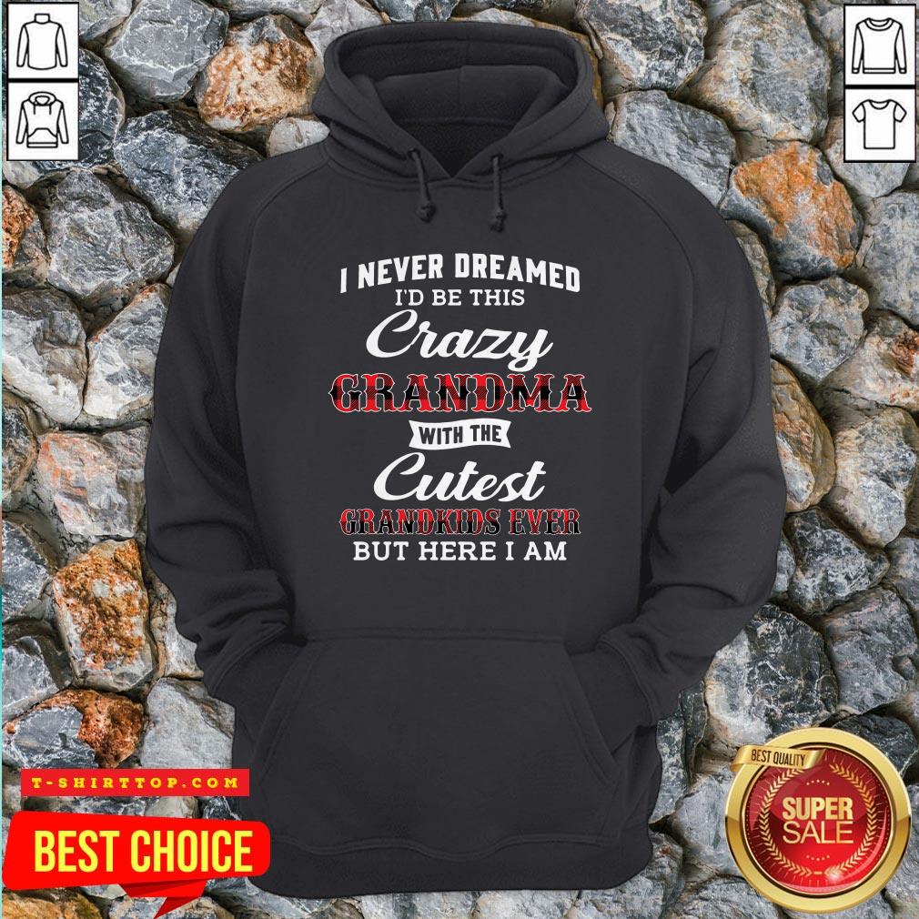 i-never-dreamed-id-be-this-crazy-grandma-with-the-cutest-grandkids-ever-but-here-i-am-hoodie.jpg