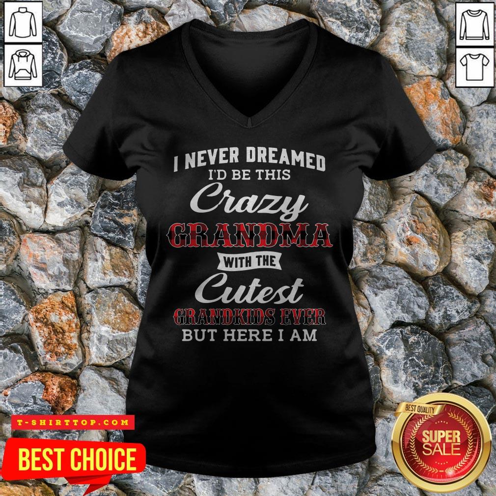 i-never-dreamed-id-be-this-crazy-grandma-with-the-cutest-grandkids-ever-but-here-i-am-v-neck.jpg