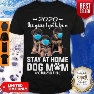 Top 2020 The Year I Got To Be A Stay At Home Companion Dog Mom Quarantine Shirt
