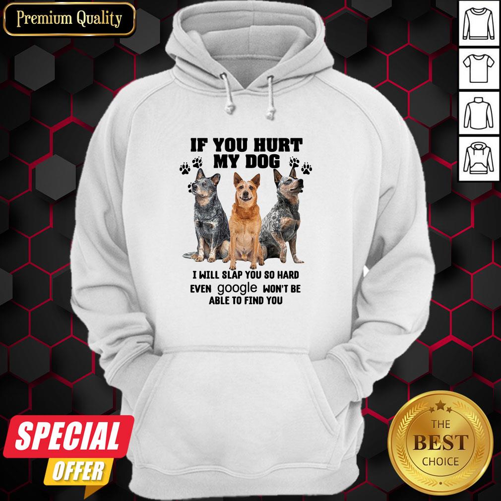 if-you-hurt-my-dog-i-will-slap-you-so-hard-even-google-wont-be-able-to-find-you-hoodie.jpg