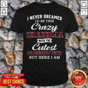 I Never Dreamed I'D Be This Crazy Grandma With The Cutest Grandkids Ever But Here I Am Shirt