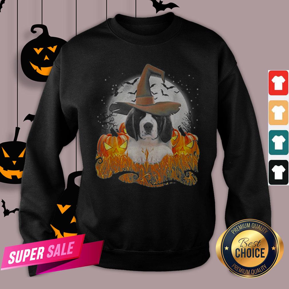 Top Cute Saint Bernard Dog Witch On Halloween Pumpkin Shirt